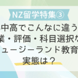 【NZ留学特集③】小中高でこんなに違う！授業・評価・科目選択などニュージーランドの教育の実態は？