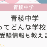 青稜中学ってどんな学校？帰国受験情報も教えます！