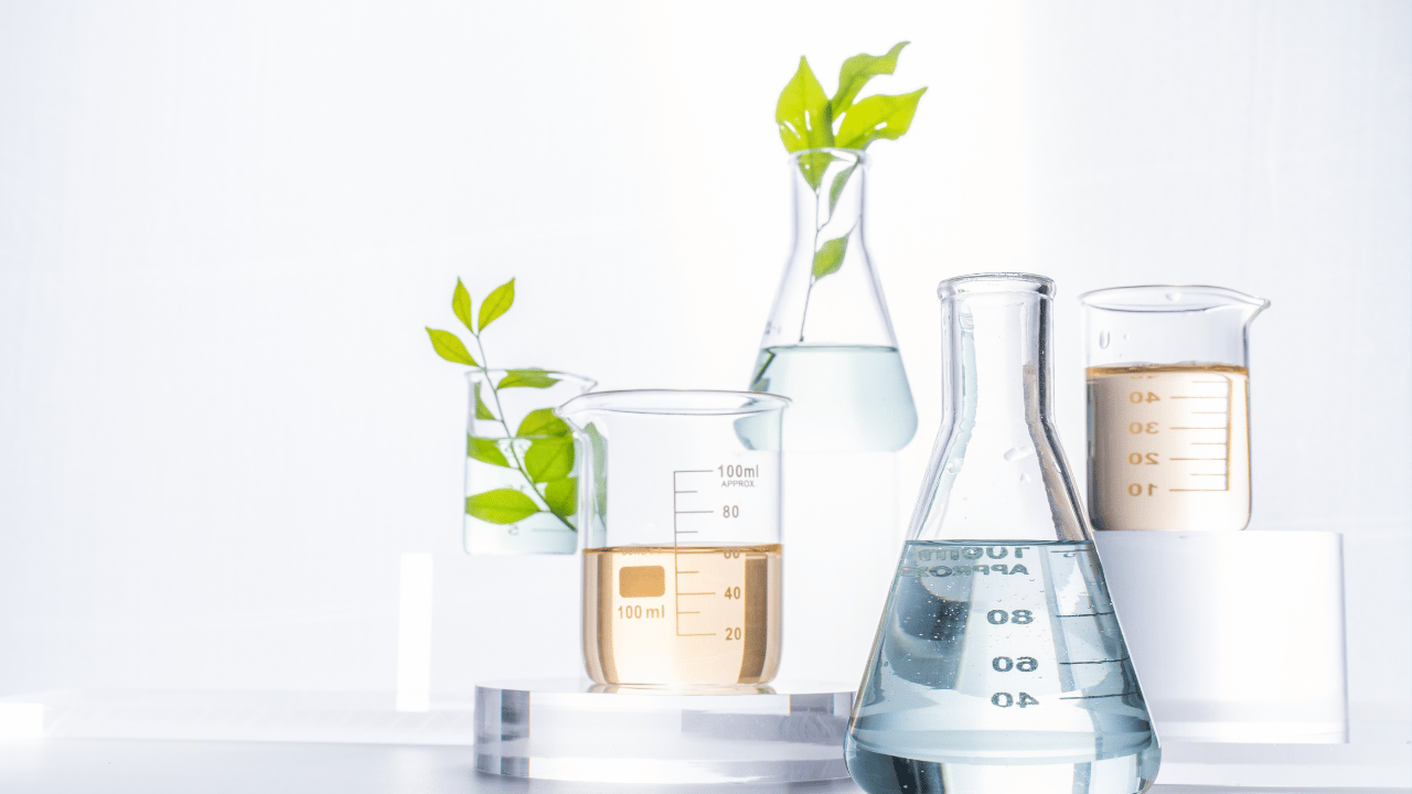 IB 理系科目のイメージ