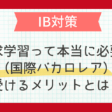 探求学習って本当に必要？IB（国際バカロレア）を受けるメリットとは？