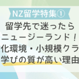 【NZ留学特集①】留学先で迷ったらNZ｜多文化環境・小規模クラス・学びの質が高い理由
