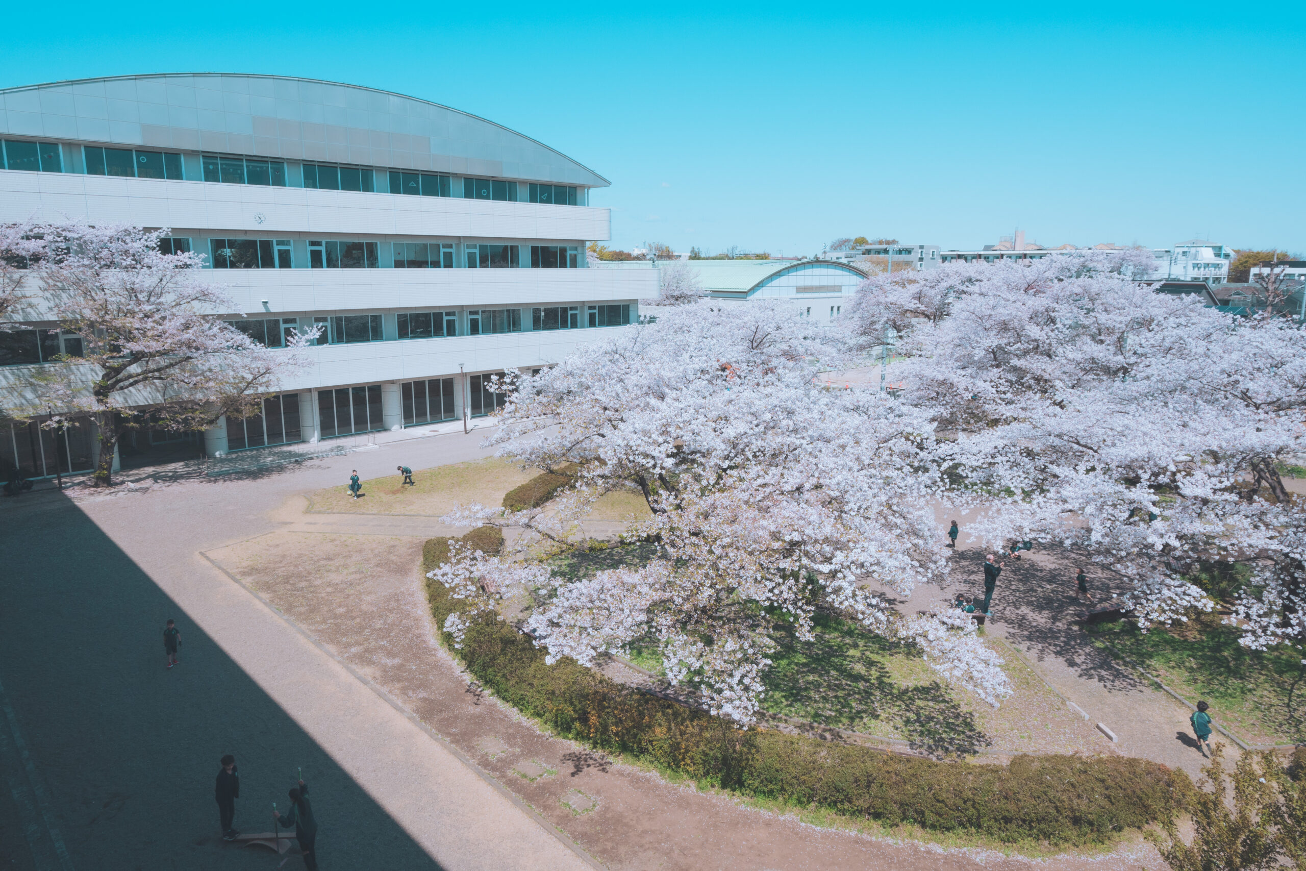マルバーン・カレッジ東京の校舎の画像