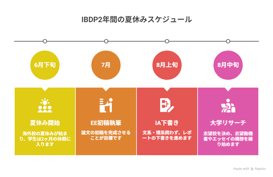 IBDPの1年目夏休みのスケジュールのイメージ