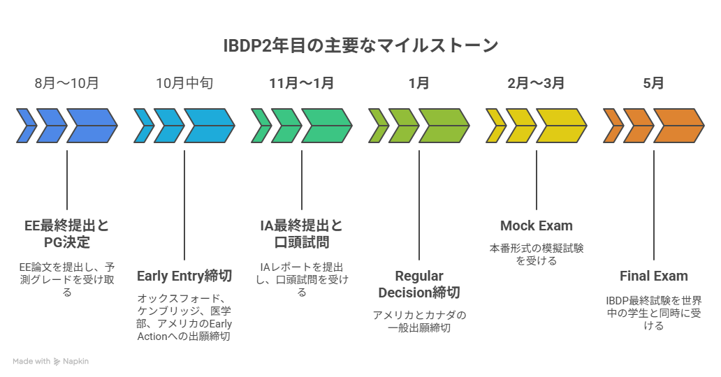 IBDPの2年目のスケジュールのイメージ