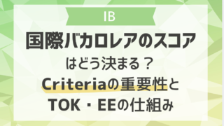 国際バカロレアのスコアはどう決まる？Criteria（クライテリア）の重要性とTOK・EEの仕組み