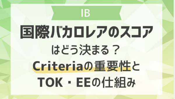 国際バカロレアのスコアはどう決まる？Criteria（クライテリア）の重要性とTOK・EEの仕組み