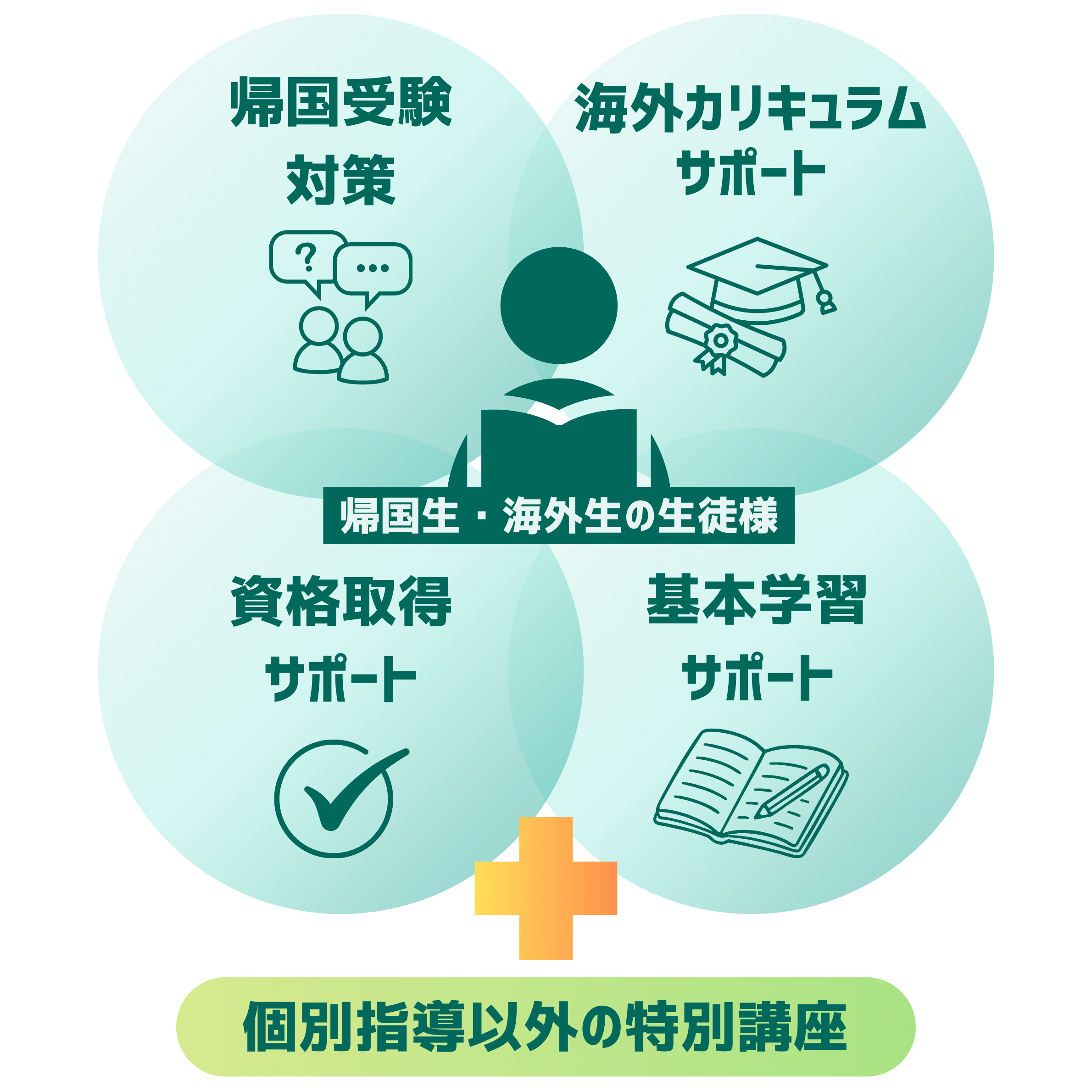 帰国受験対策・海外カリキュラムサポート・資格取得サポート・基本学習サポートの4つ、プラス個別指導以外の特別講座