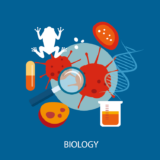 【IB DP】Final Exam直前！IB Biology(生物)の勉強法・コツを伝授！