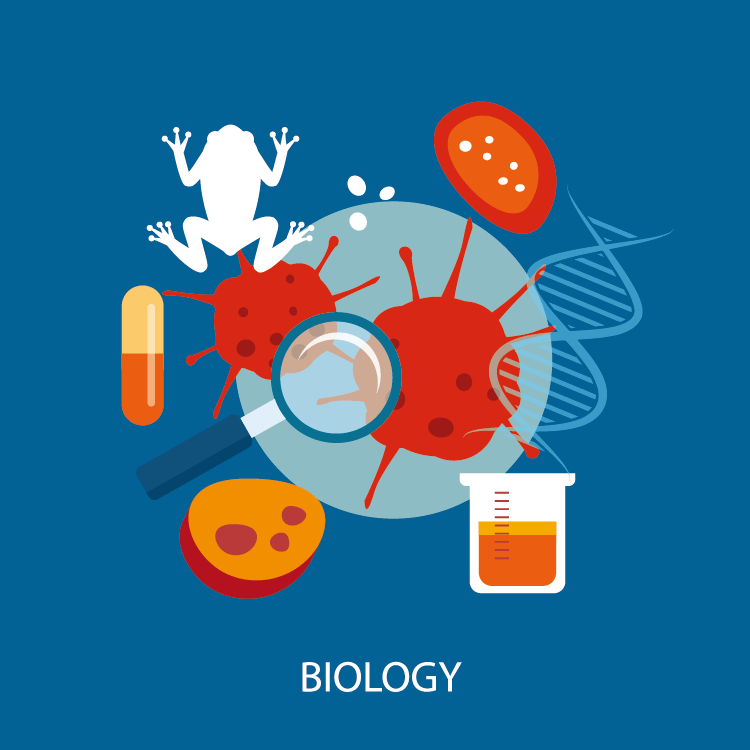 Ib Dp Final Exam直前 Ib Biology 生物 の勉強法 コツを伝授 海外 帰国子女向けオンライン家庭教師 Tck Workshop