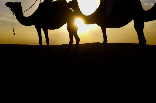 M.Sさま｜帰国高校受験対策｜ICU高校合格